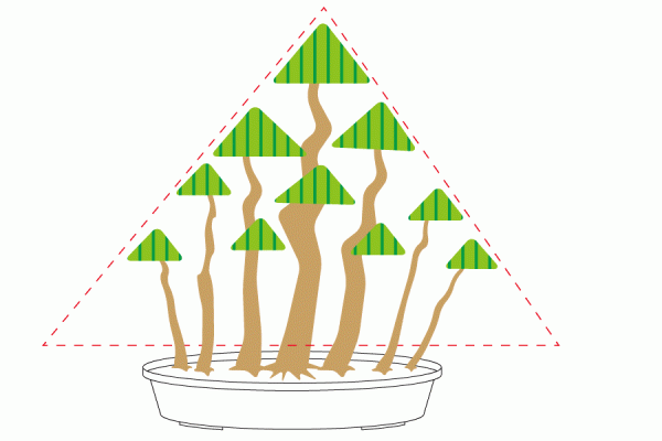 盆栽 樹形 寄せ植えイメージイラスト